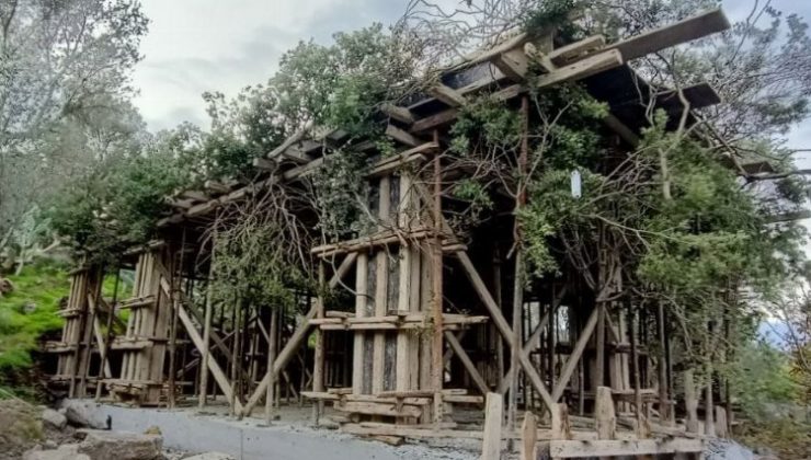 Bodrum’da kaçak inşaatı ağaç dallarıyla gizlemeye çalıştılar